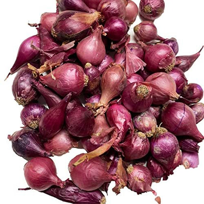 Onion Sets, Red - 50 Onion Sets for Planting
