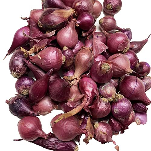 Onion Sets, Sweet - 50 Onion Sets for Planting