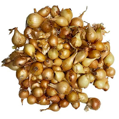 Onion Sets, Sweet - 50 Onion Sets for Planting