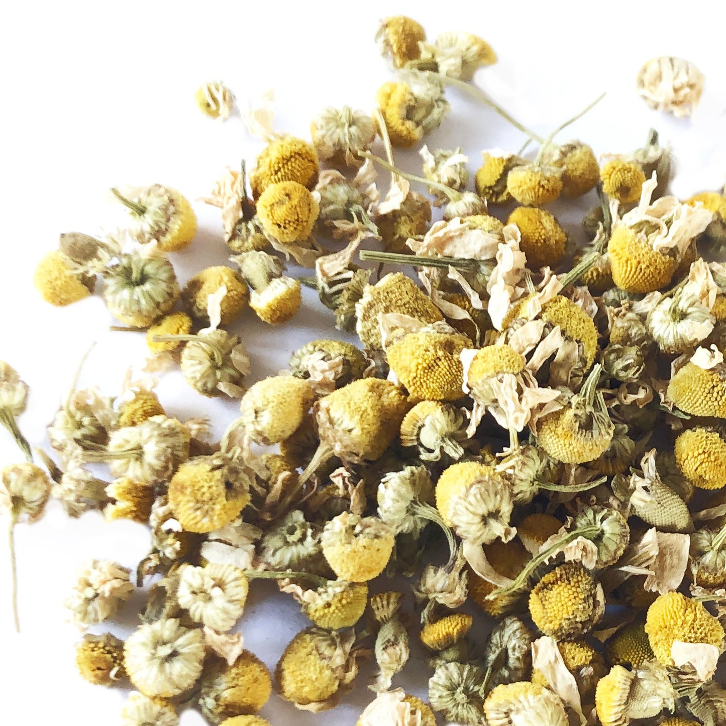 Chamomile, German, Dried Flowers.