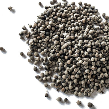 Chaste Tree  Seeds (Vitex agnus-castus L.) 50 Seeds (0.5 grams)