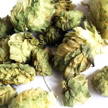 Cascade Hops, Dried - 1 oz or 4 oz