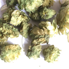 Cascade Hops, Dried - 1 oz or 4 oz