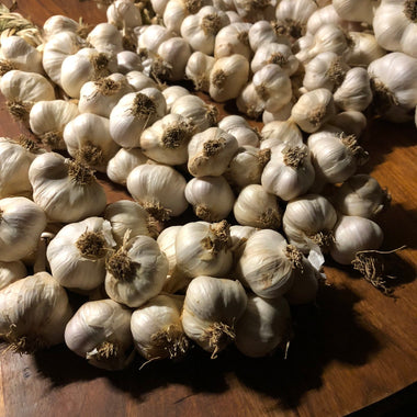 Garlic, California Late