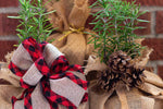 Rosemary Variety Tree | Aromatic Gift | Herb Tree | Tabletop Tree