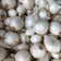 Onion Sets, White - 80-100 Onion Sets for Planting