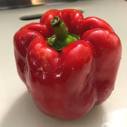 California Wonder Pepper Seeds (Capsicum annuum) 100 Seeds (1 grams) - Organic Sweet Pepper Seeds