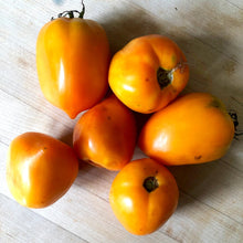 Pointy Goldfish Tomato Seeds (Solanum lycopersicum) - 0.5 grams, 150 seeds