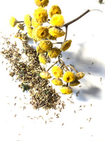 ORGANIC Tansy  Seeds (Tanacetum vulgare) 500 Seeds (0.1 grams)
