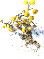 ORGANIC Tansy  Seeds (Tanacetum vulgare) 500 Seeds (0.1 grams)