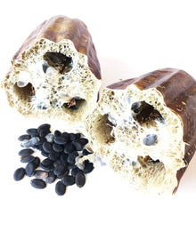 Gourd, Luffa Seeds (Luffa acutangula) 10 Seeds (0.2 grams)