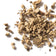 Marshmallow Root (Althaea officinalis ) Dried - 1 oz or 4 oz