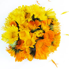 Calendula Seeds - 100 Seeds (1 gram)