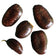 Pawpaw Seeds (Asimina triloba) 5 Seeds (10 grams)