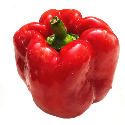 California Wonder Pepper Seeds (Capsicum annuum) 100 Seeds (1 grams) - Organic Sweet Pepper Seeds