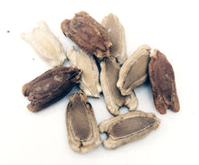 Bushel Basket Gourd Seeds (Lagenaria siceraria) 10 Seeds (5 g) - Huge Gourds for Crafts