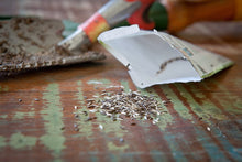 Lettuce Mix Seeds (Latuca sativa) 200 Seeds (0.2 grams)