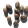 Castor Plant Seeds (Ricinus communis) 10 Seeds (6 Grams) - Mole Plant