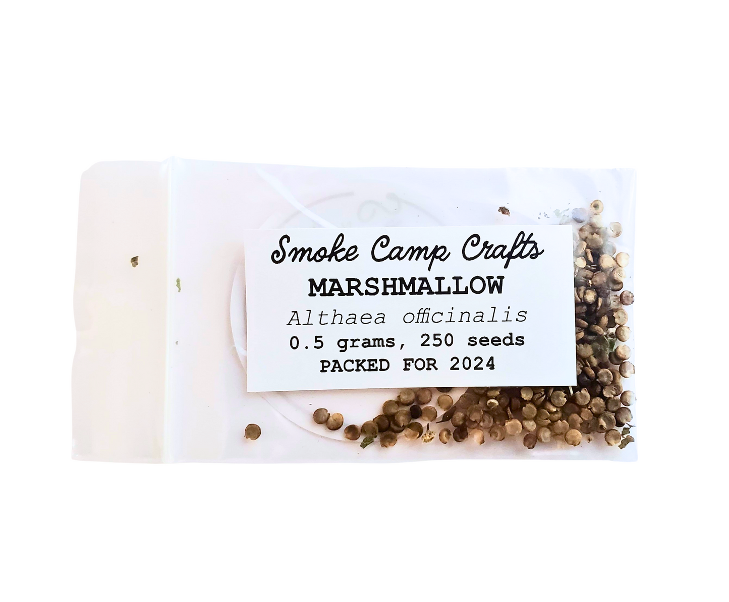Marshmallow Plant Seeds (Althaea officinalis) - 0.2 grams, 100 seeds